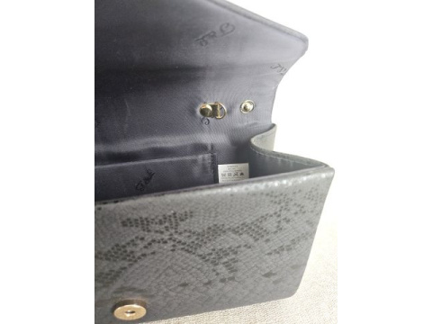 juoda_gyvates_rasto_delnine_024-0169-03_-_brunka_lt