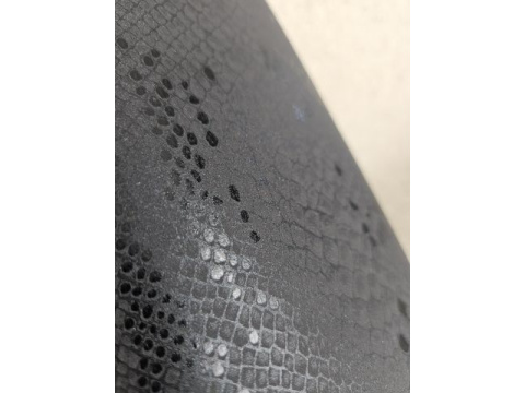 juoda_gyvates_rasto_delnine_024-0169-04_-_brunka_lt